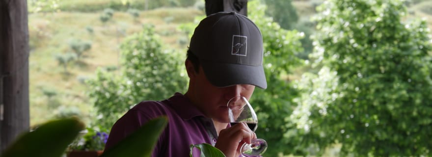 Vallée du Douro : Visite et dégustation du vignoble Quinta do Tedo