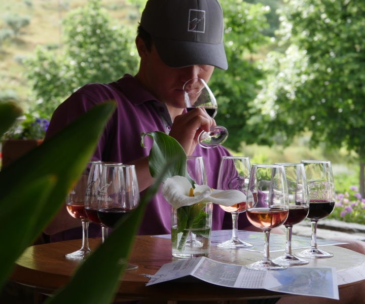 Vallée du Douro : Visite et dégustation du vignoble Quinta do Tedo