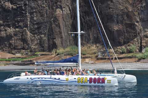 Funchal: Cruzeiro de catamarã com observação de golfinhos e baleias