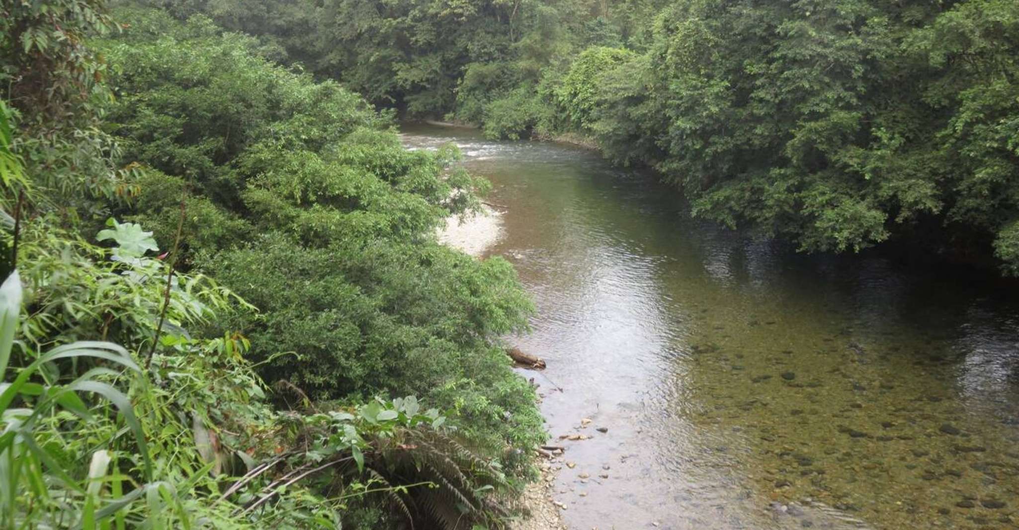 Cali, geführter Tagesausflug nach San Cipriano mit traditionellem Mittagessen - Hizvo