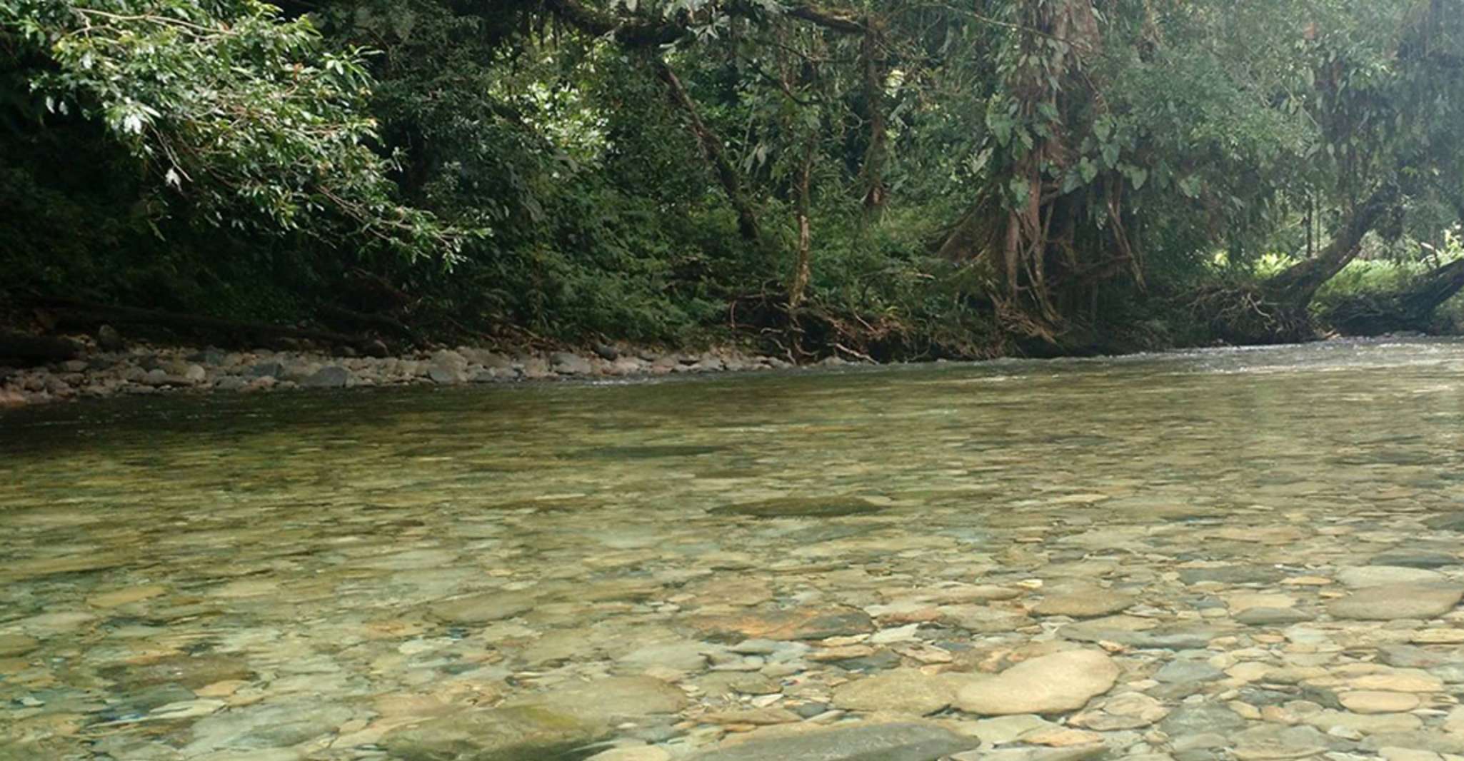 Cali, geführter Tagesausflug nach San Cipriano mit traditionellem Mittagessen - Hizvo