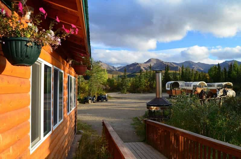 Denali: Horse-Drawn Covered Wagon Tour with Meal | GetYourGuide