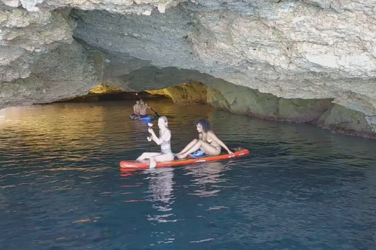 Ibiza: crucero con esnórquel, paddle surf, playa y calasTour compartido