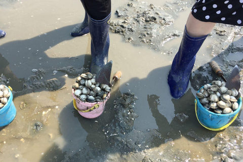 Vanuit Busan: Geoje Wad Experience en Koreaans eten voor fijnproevers