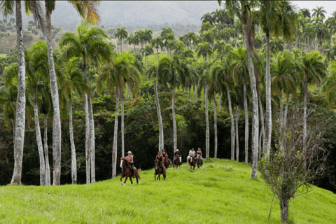 Punta Cana: Caballos Haitises, Cano hondo y Montana redonda