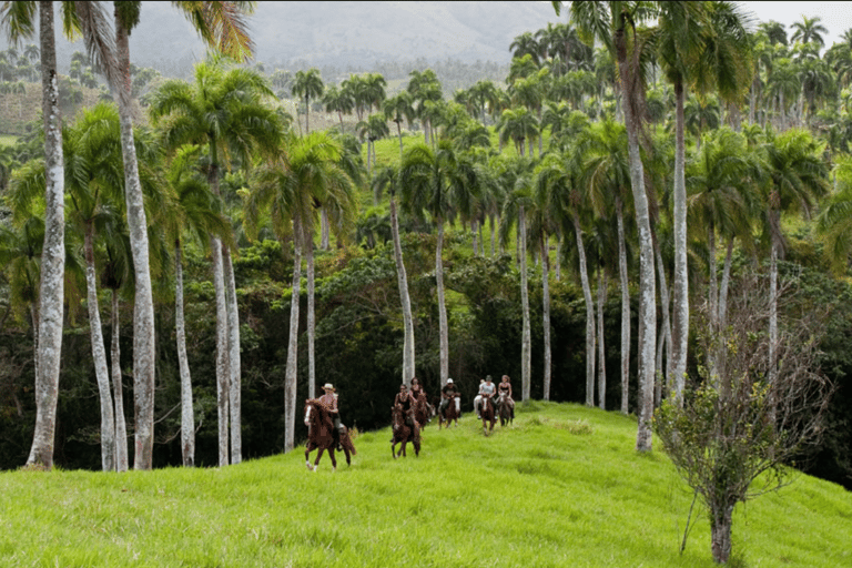 Punta Cana: Haitises paarden, Cano hondo &amp; Montana redonda