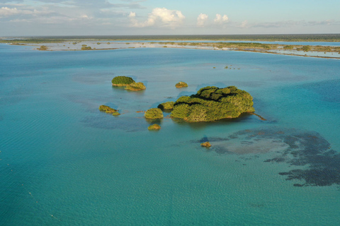 Bacalar: Group Sailing Trip with Swimming and Drinks Standard Rate