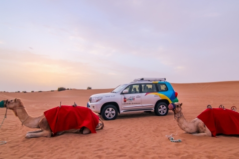 Dubái: safari matutino por el desierto con paseo en camello y sandboardTour en grupo compartido