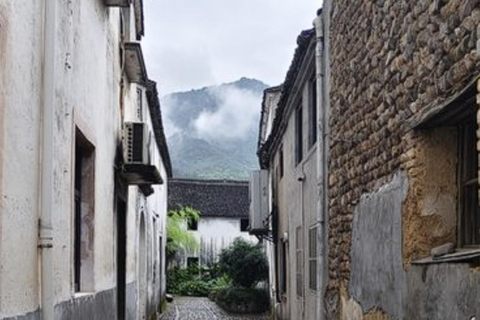 Shanghai: Fuyang Bayberry Picking & Ancient Town Day Trip
