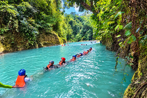 Cebu: Swim with Gentle Giants, Twin Falls & Sardine Run
