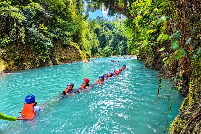 Cebu: Swim with Gentle Giants, Twin Falls & Sardine Run