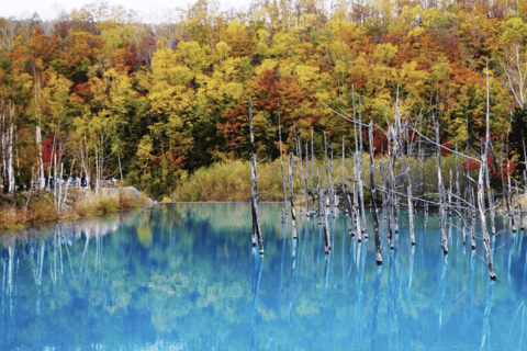 Vanuit Sapporo : Hokkaido Furano Tomita Boerderij Joiner Tour