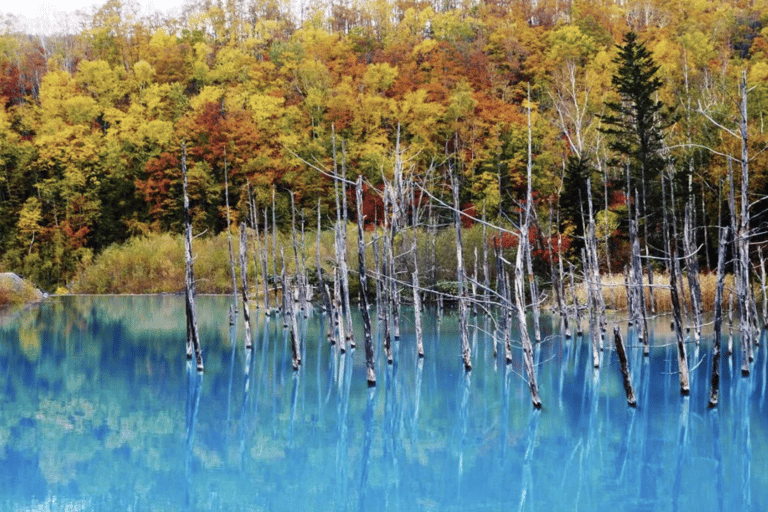 Vanuit Sapporo : Hokkaido Furano Tomita Boerderij Joiner Tour