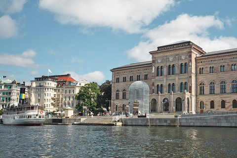 Estocolmo: lo más destacado del archipiélago en barco con guía