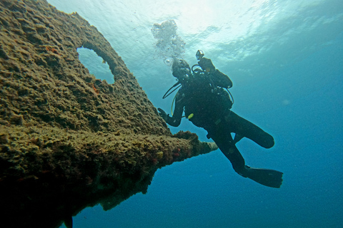 Plongées amusantes sur l'île de Terceira - Bateau de plongée double