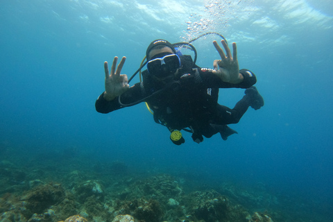 Terceira: Angra do Heroísmo Scuba Diving Tour with 2 Dives