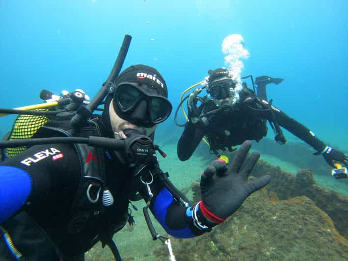 Terceira Angra do Heroísmo Scuba Diving Tour with 2 Dives GetYourGuide