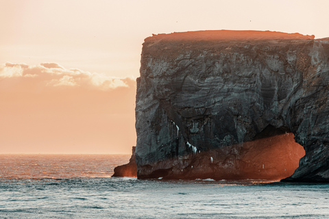 South Coast Private tour with Black Pizza & Glacier Hike
