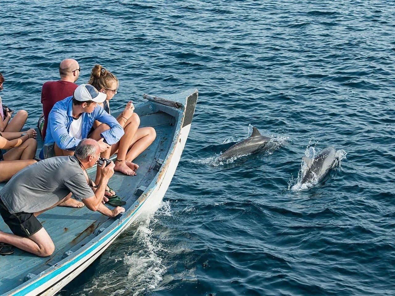 Malé: Delfinbeobachtung bei Sonnenuntergang & Nachtangeln