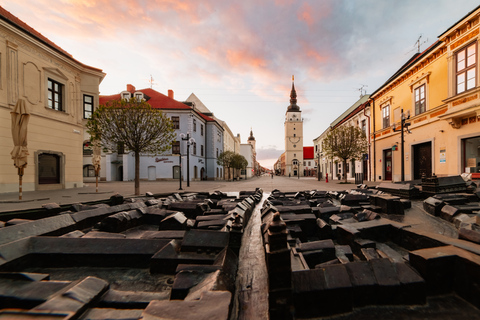 Au départ de Bratislava : excursion d'une demi-journée à Trnava avec billets de trainOption standard