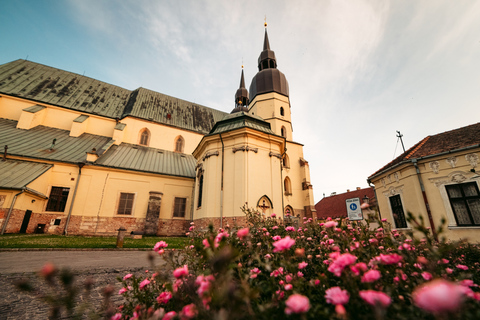 Au départ de Bratislava : excursion d'une demi-journée à Trnava avec billets de trainOption standard