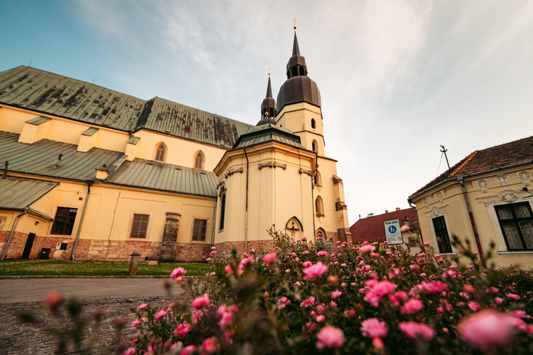 Au départ de Bratislava : excursion d'une demi-journée à Trnava avec billets de trainOption standard