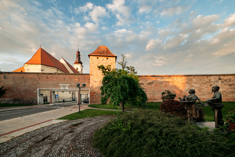 Från Bratislava: halvdagsutflykt till Trnava med tågbiljetterStandardalternativ