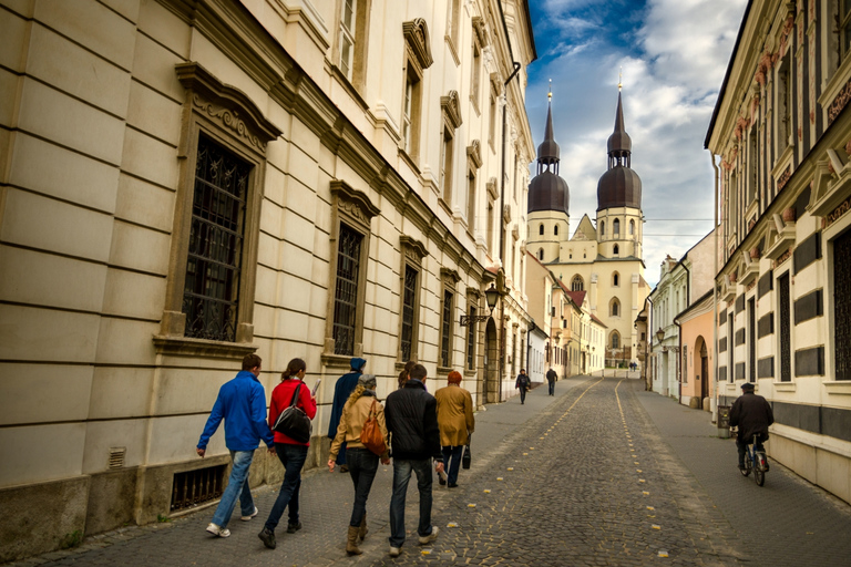 Von Bratislava: Halbtagesausflug nach Trnava mit ZugticketsStandard Option