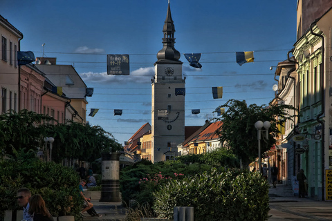 From Bratislava: Half-Day Trip to Trnava with Train Tickets Standard Option