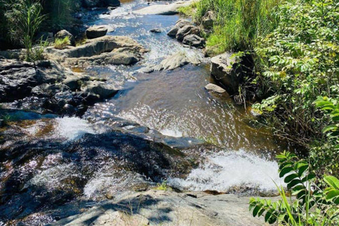 Arusha: Uluguru Mountains 2-Day Hiking and Camping Tour