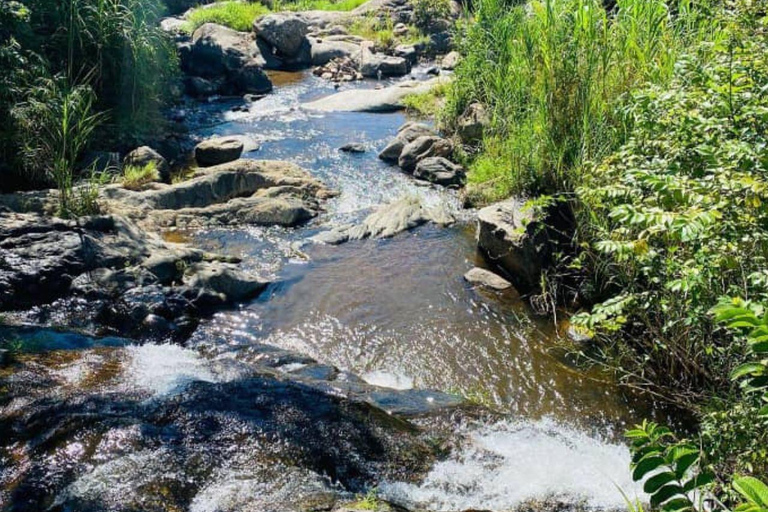 Arusha: Uluguru Mountains 2-Day Hiking and Camping Tour