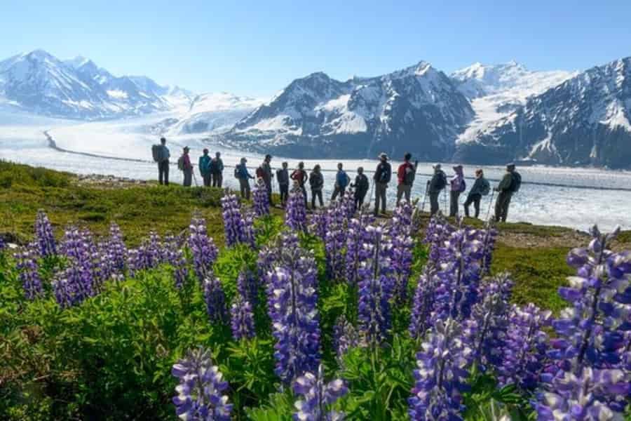 Anchorage: Helikopter- und Wanderabenteuertour zum Knik-Gletscher. Foto: GetYourGuide Anchorage: Helikopter- und Wanderabenteuertour zum Knik-Gletscher. Foto: GetYourGuide