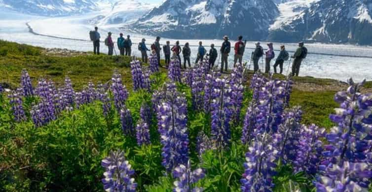 The BEST Knik Glacier Spring activities 2023 - FREE Cancellation ...