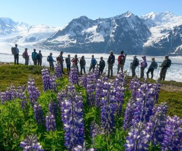 Anchorage: Knik Glacier Helicopter and Hiking Adventure Tour