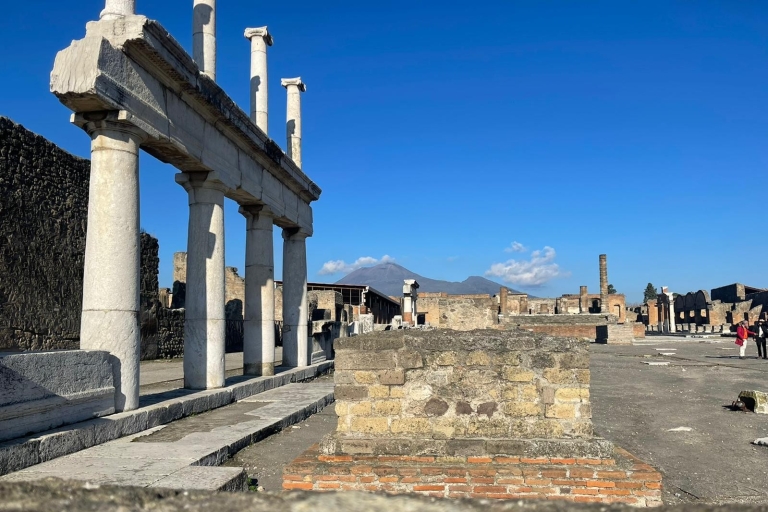 Rome: Pompeii and Naples Private Day Tour with Pizza Tasting