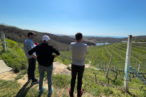 Tour di Durazzo e degustazione di viniDa Tirana: tour di degustazione di vini di Durazzo e Lalzi Bay