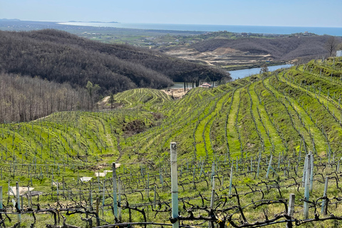 Desde Tirana: tour de cata de vinos de Durres y la bahía de Lalzi