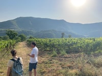 Berat | History & Local Food - Housity