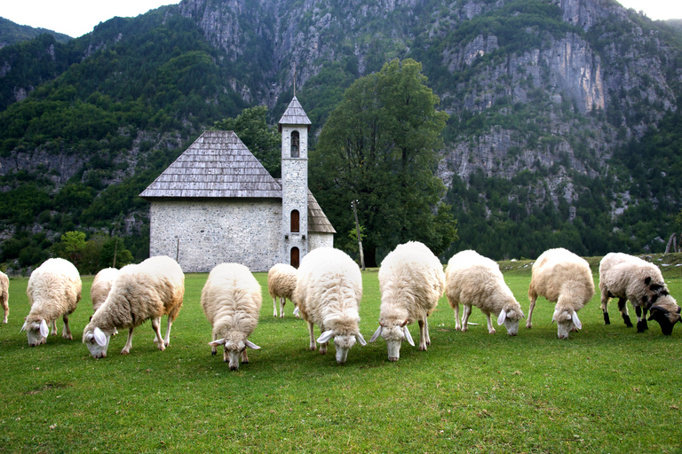 Tirana: mini-excursion de 4 jours dans le nord de l'AlbanieChambre Twin-Share