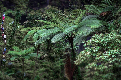 Fiji: 3 Day/2 Night Hiking Tour with Remote Village Stays