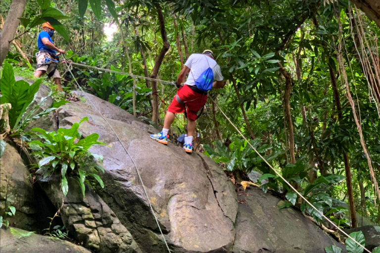Puerto Rico: Yunque Ziplining in het regenwoud