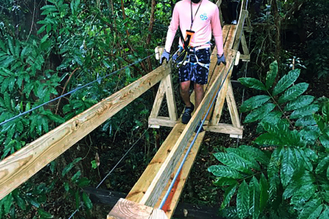 Puerto Rico: Yunque Ziplining in het regenwoud