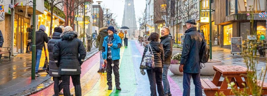 Reykjavik: Sightseeing-wandeltocht met een Viking