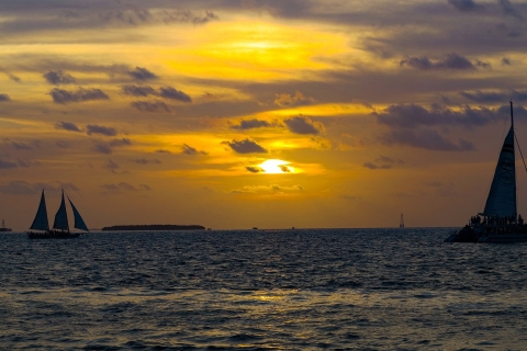 Key West: snorkelen, dinercruise bij zonsondergang en open barKey West: ochtendsnorkelen met dinercruise bij zonsondergang