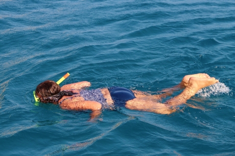 Key West: Snorkeling, Sunset Dinner Cruise & Open Bar Key West: Morning Snorkeling with Sunset Dinner Cruise