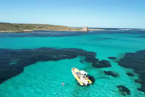 Stintino: tour di mezza giornata all'Asinara con aperitivo