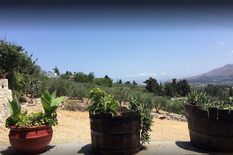 Crete: Wine and Olive Oil Tasting