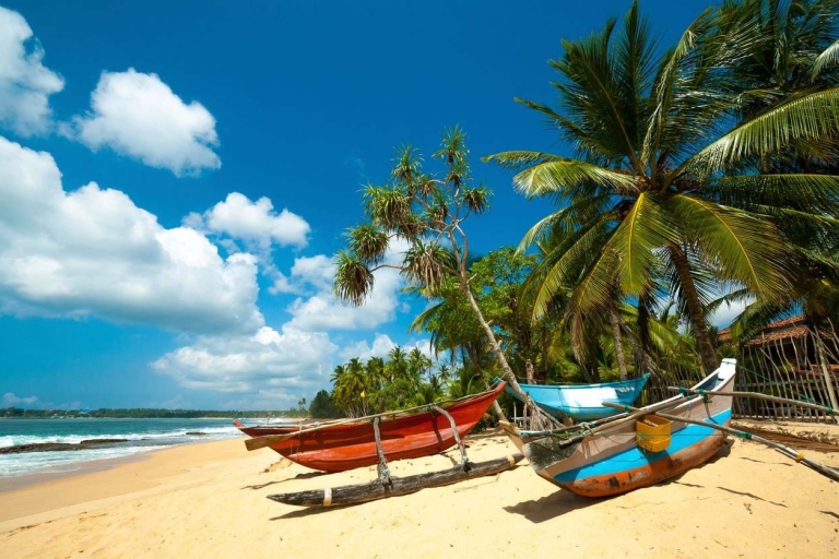 Viaje de luna de miel costera de 6 díasRecogida en Colombo