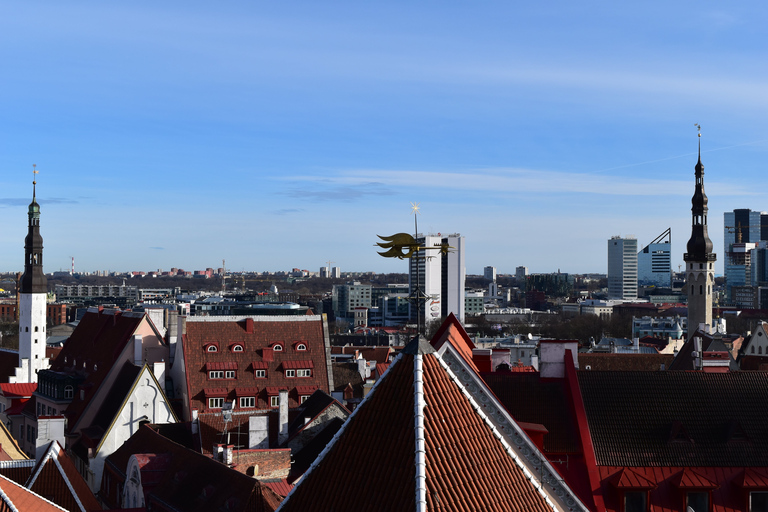 Tallinn: Panoramiczna wycieczka prywatnym pojazdem