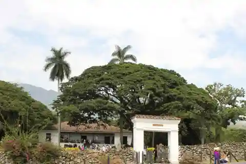 Cali: gita di un giorno alla fattoria della canna da zucchero e alla Hacienda El Paraiso